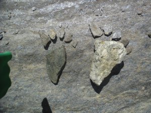 stone footprints